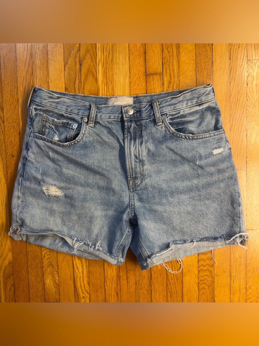 The Denim Shorts by Everlane Size 30 GUC Distressed Denim